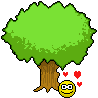 :zakochane-drzewo: